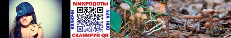 shop какой сайт  Ангарск  Галлюциногенные грибы мухоморы 