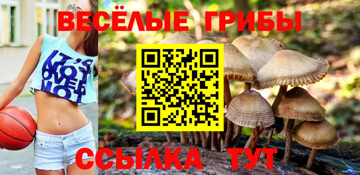 Галлюциногенные грибы мицелий Ангарск